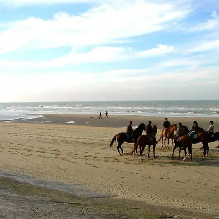 Flat In With Stunning Sea Views Lejlighed