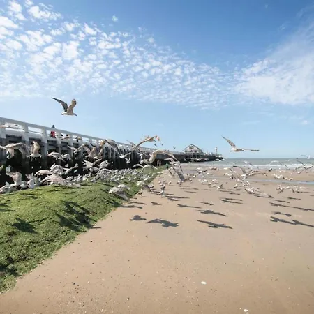 Flat In With Stunning Sea Views