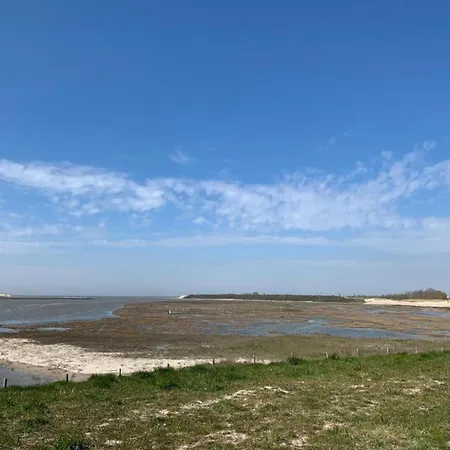 Flat In With Stunning Sea Views * Blankenberge